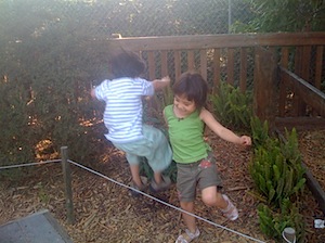 IMG_0730.JPG