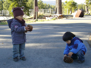P1030577.JPG