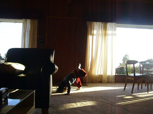 P1040572.JPG