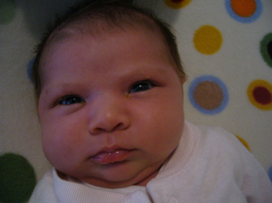 P1050197.JPG