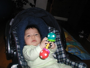 rattle1.2.25.JPG.jpg
