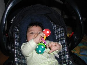 rattle2.2.25.JPG.jpg
